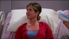 friends - Season 08 Episode 24